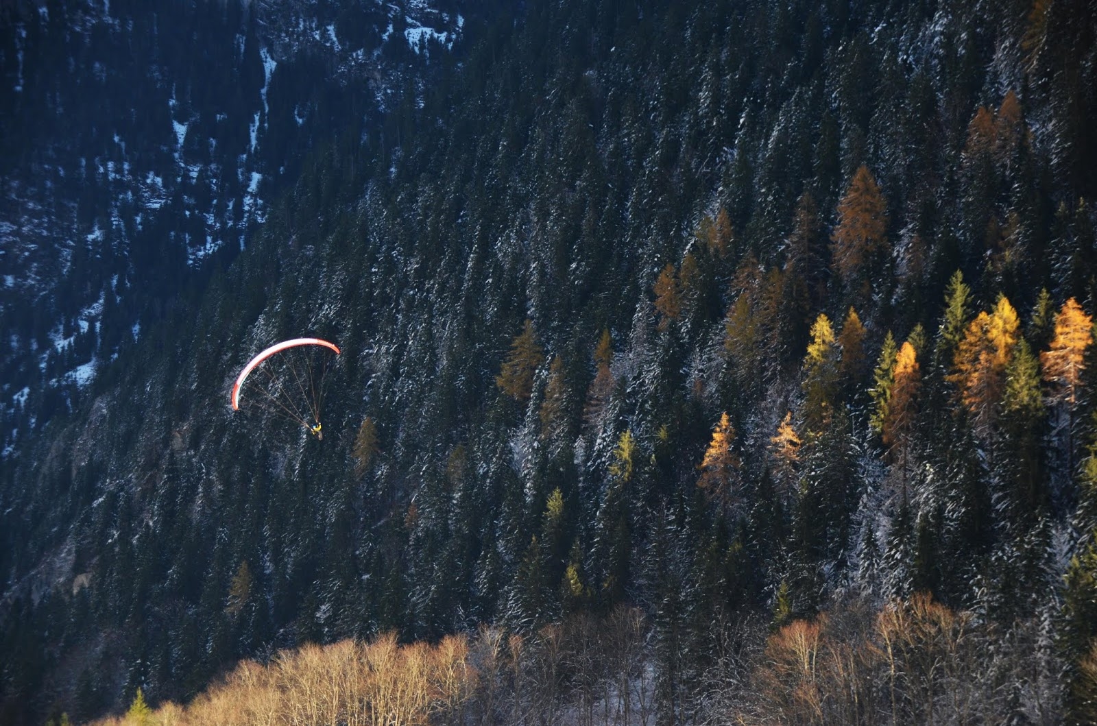 blog6009.jpg