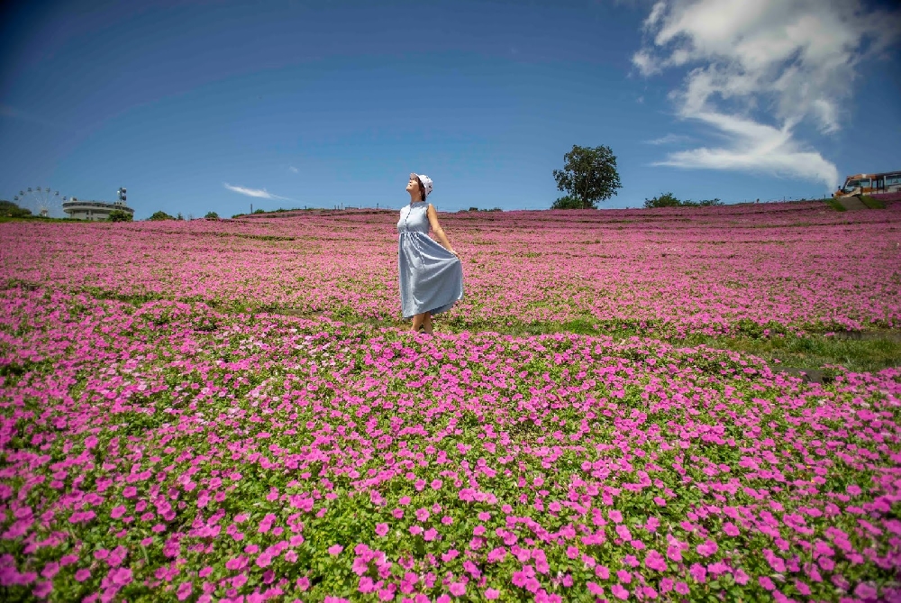 blog9010.jpg